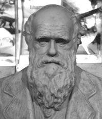 Image of a statue of Darwin. 